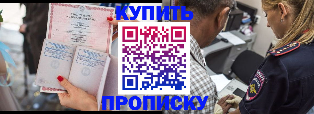 прописка законно в Кингисеппе